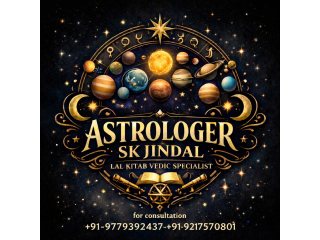 Astrology Lal Kitab Vedic horoscope+91-9779392437
